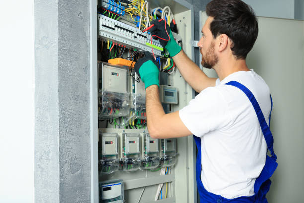 Best Electric Panel Repair  in Spring Valley, AZ